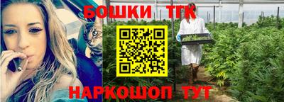 a pvp Тара