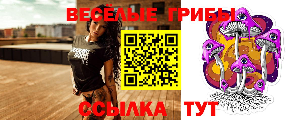 Галлюциногенные грибы Cubensis Новочеркасск